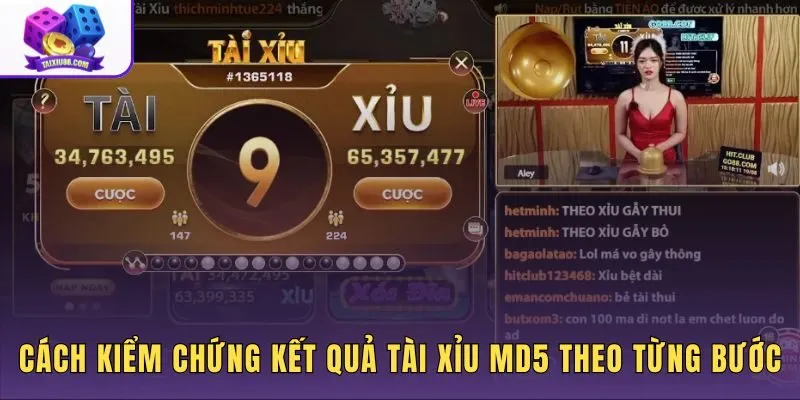 Quy trình đối chiếu hash MD5 sau mỗi ván cược cụ thể