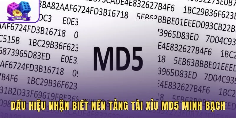Tiêu chí đánh giá tài xỉu MD5 là gì đáng tin từ quy trình công bố hash