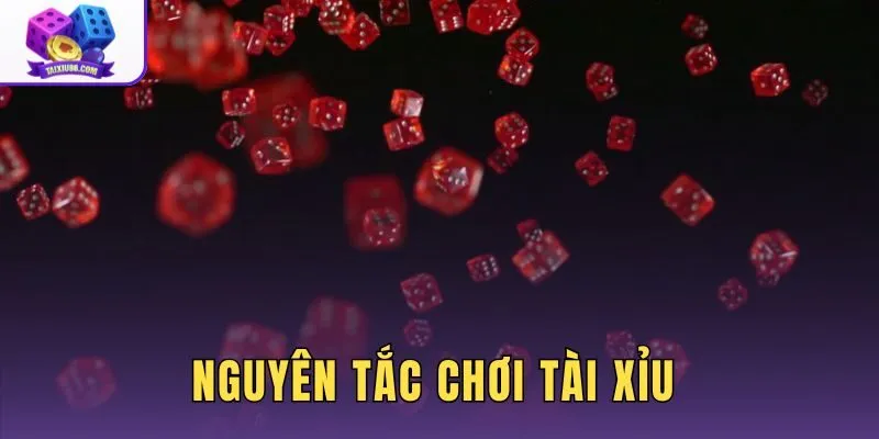 Nguyên Tắc Chơi Tài Xỉu