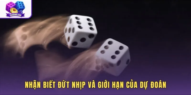 Dấu hiệu đứt nhịp khi tự soi cầu tài xỉu và ngụy biện xác suất