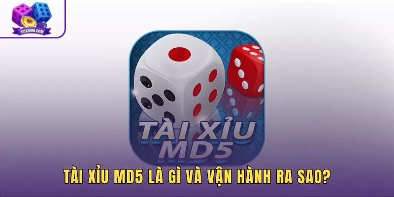 Tài xỉu MD5 là gì cơ chế băm kết hợp luật chơi truyền thống
