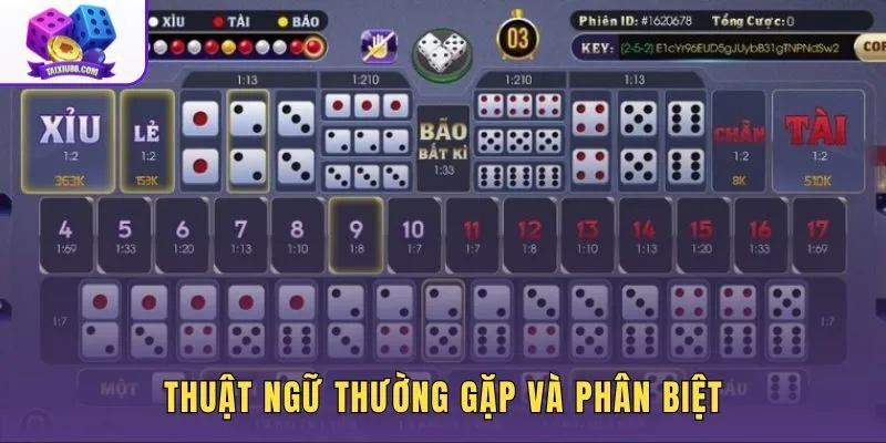 Thuật ngữ luật chơi tài xỉu so với kèo Over/Under bóng đá