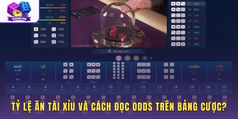 Bảng cược tài xỉu với odds Over và Under hiển thị rõ ràng