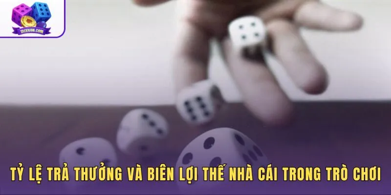 Nguyên lý hột tài xỉu phản ánh qua house edge và payout cửa lớn nhỏ