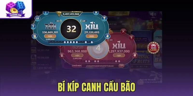 Bí Kíp Canh Cầu Bão