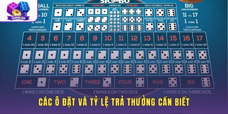 Tỷ lệ trả thưởng từng ô đặt trong trò chơi Sicbo online