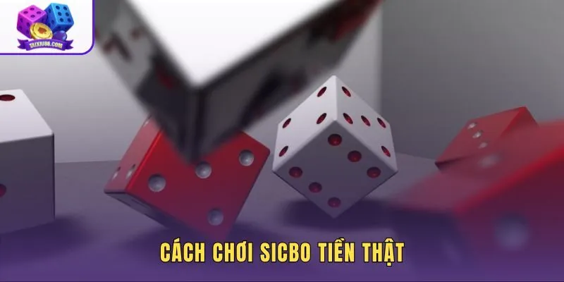 Sicbo sảnh casino thật qua từng lượt đặt và đối chiếu