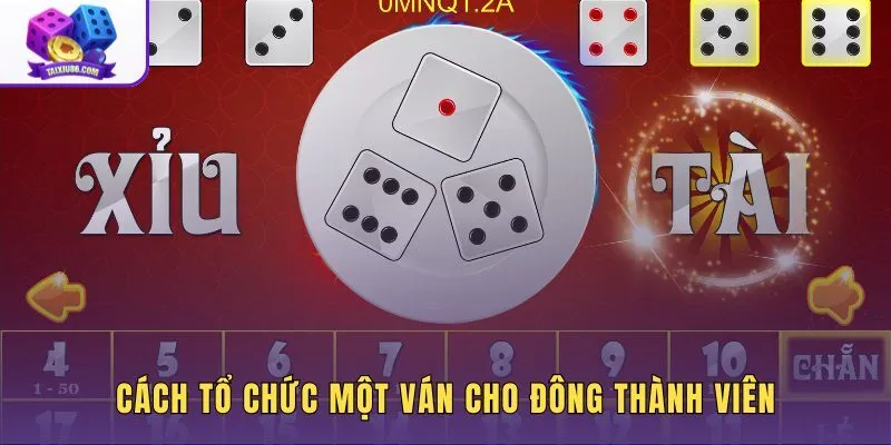 Tài xỉu nhiều người chơi cùng phân vai và giữ nhịp