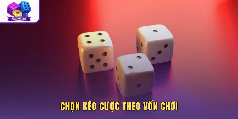 Tài xỉu nhiều cửa cược theo vốn và giới hạn thua