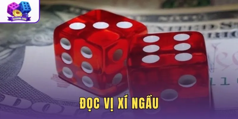 Đọc Vị Xí Ngầu