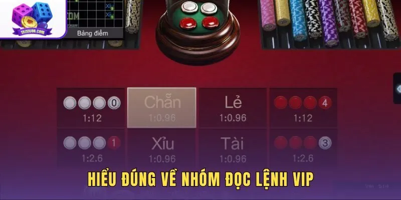 Nhóm đọc lệnh VIP và cách phân tích cầu đứng sau mỗi tín hiệu
