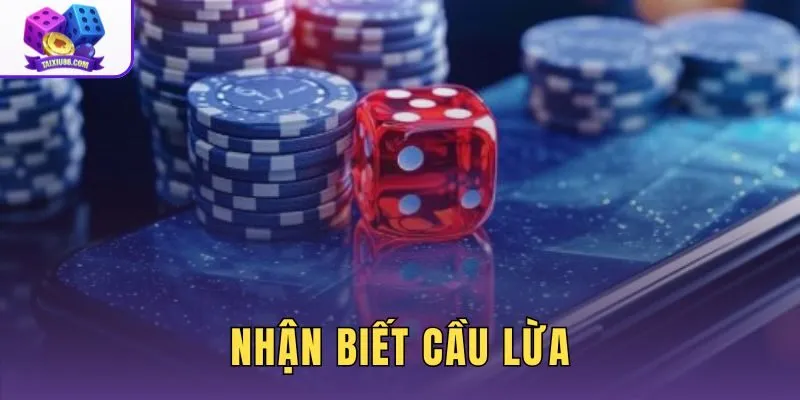 Nhận Biết Cầu Lừa