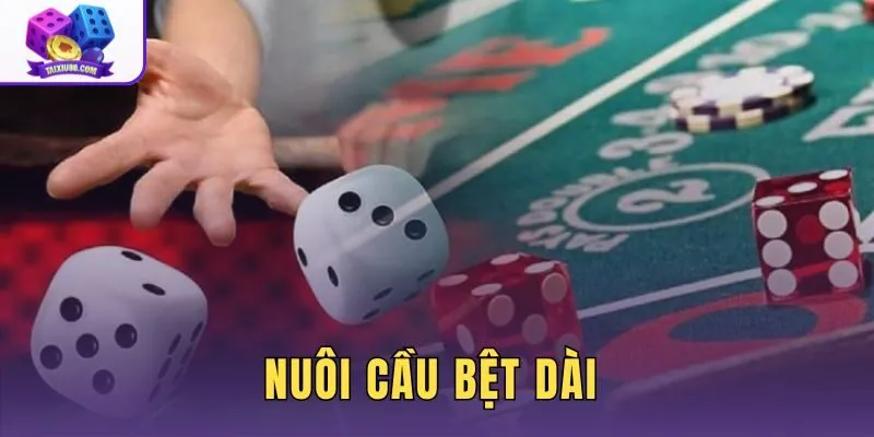 Nuôi Cầu Bệt Dài