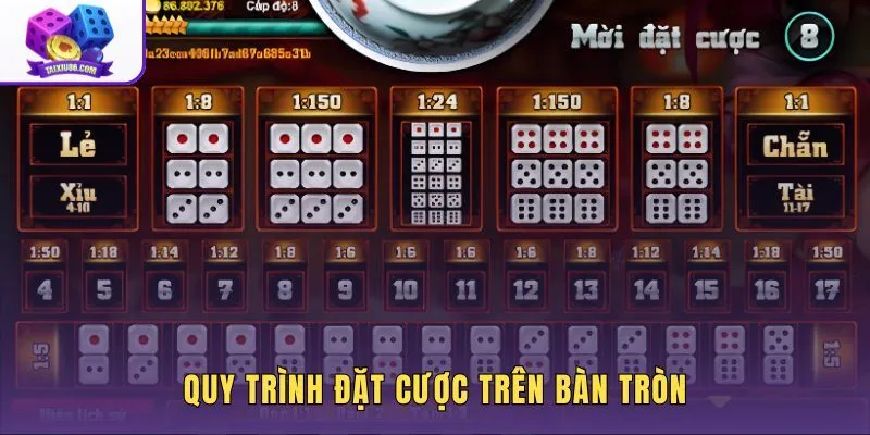 quy-trinh-dat-cuoc-tren-ban-tron quy-trinh-dat-cuoc-tren-ban-tron