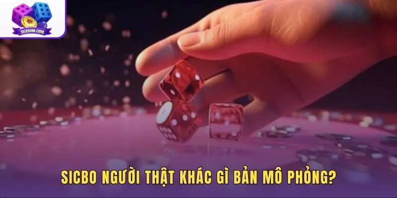 Game Sicbo người thật với bàn dealer trực tiếp