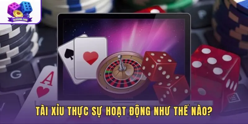 Sự thật tài xỉu qua 216 tổ hợp từ 3 viên xúc xắc