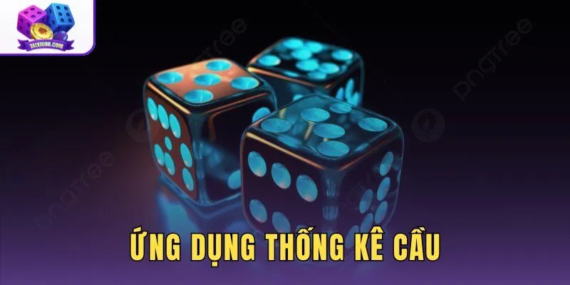 Ứng Dụng Thống Kê Cầu